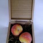Peach Soap