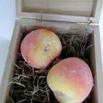 Peach Soap