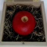 Apple Soap