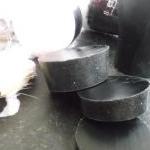 Irish Stout Shaving Soap. 