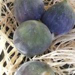 Fig soap gift box