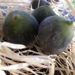 Fig soap gift box
