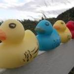 Rubber Duck Soap - any colo..