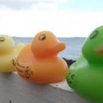 Rubber Duck Soap - any colo..