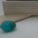 Bird Egg Collectors Edition