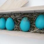 Bird Egg Collectors Edition